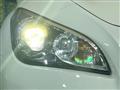 2013 Nissan Fuga