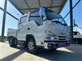 2020 Isuzu Elf Truck