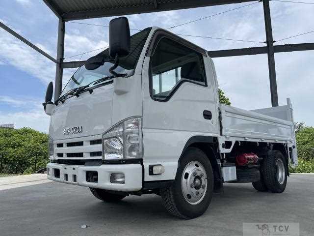 2014 Isuzu Elf Truck
