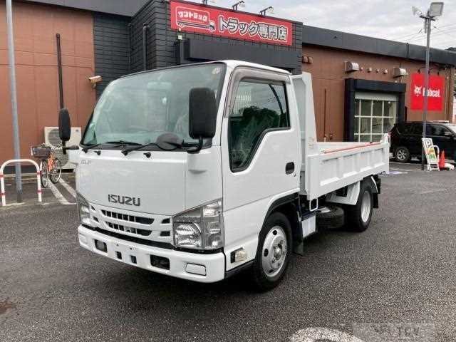 2016 Isuzu Elf Truck