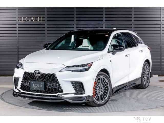 2025 Lexus RX