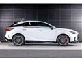 2025 Lexus RX