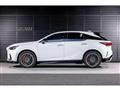 2025 Lexus RX