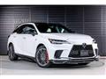 2025 Lexus RX