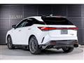 2025 Lexus RX