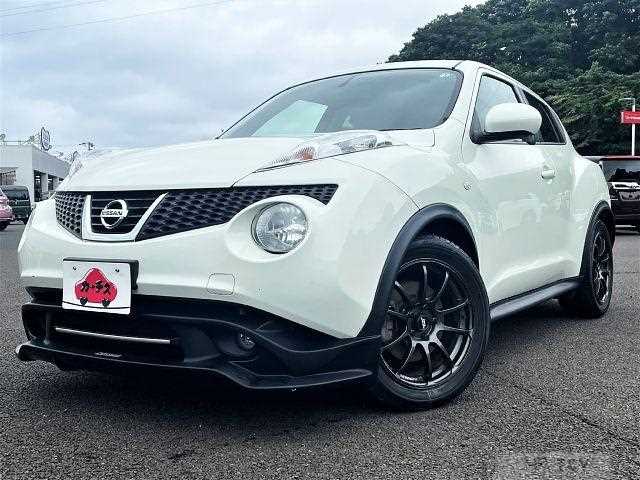 2011 Nissan Juke
