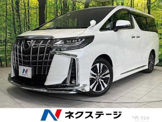 2019 Toyota Alphard G