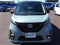 2019 Nissan Nissan Others
