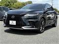2025 Lexus RX