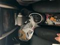 2007 Toyota IST