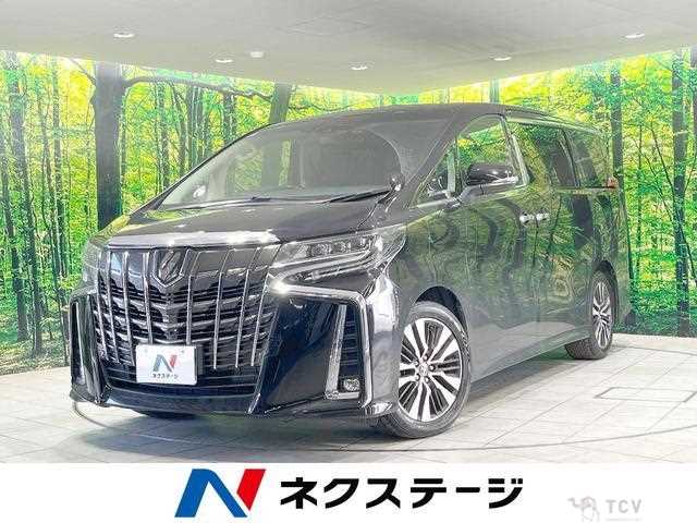 2019 Toyota Alphard G