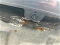 2011 Honda Step WGN