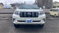2019 Toyota Land Cruiser Prado
