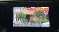 2023 Toyota Alphard G