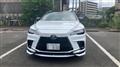 2025 Lexus RX