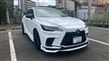 2025 Lexus RX