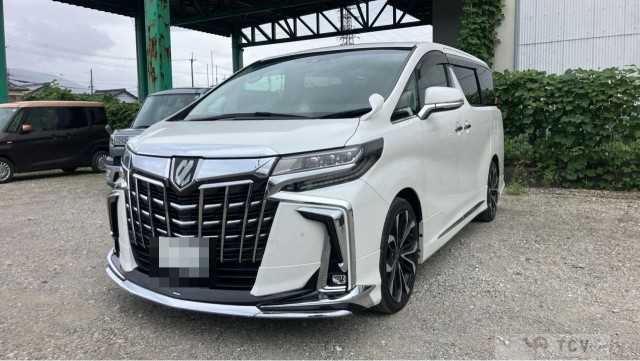 2020 Toyota Alphard G