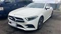 2019 Mercedes-Benz Cls-Class