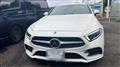 2019 Mercedes-Benz Cls-Class