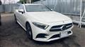 2019 Mercedes-Benz Cls-Class