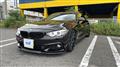 2015 BMW BMW Others