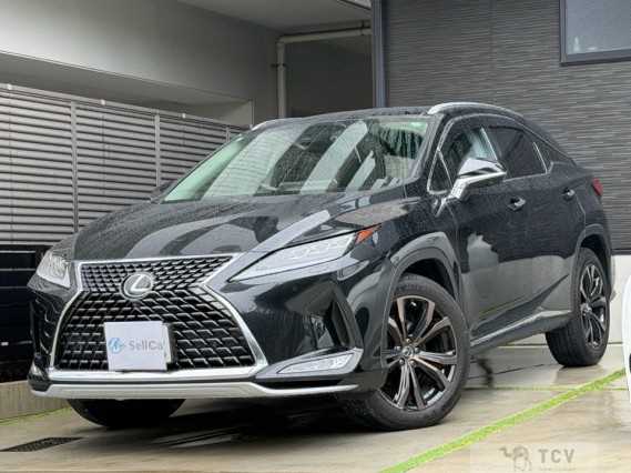 2019 Lexus RX