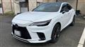 2025 Lexus RX