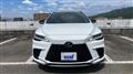 2025 Lexus RX