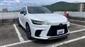 2025 Lexus RX