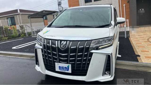 2022 Toyota Alphard G