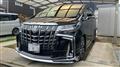 2019 Toyota Alphard G