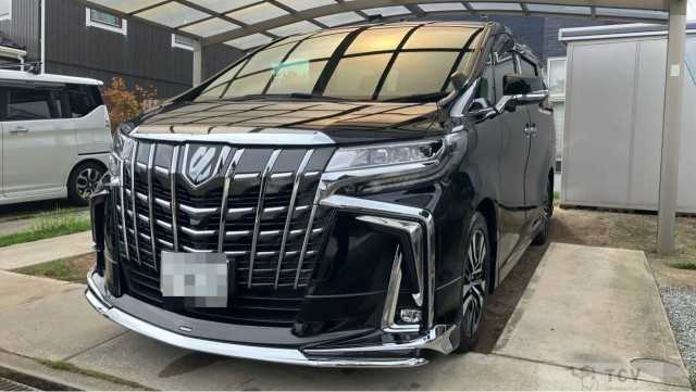 2019 Toyota Alphard G