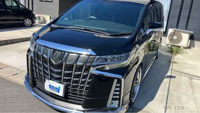 2019 Toyota Alphard G
