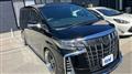 2019 Toyota Alphard G