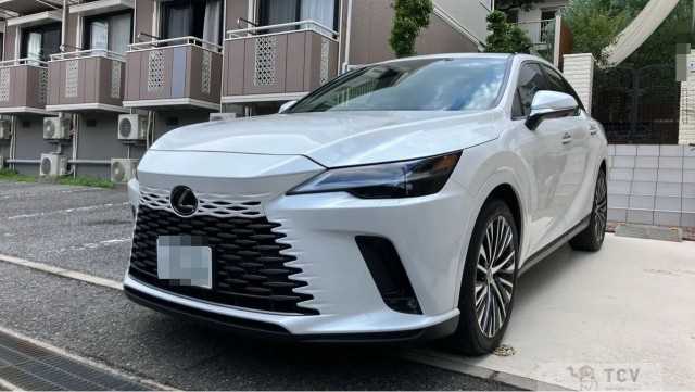 2025 Lexus RX