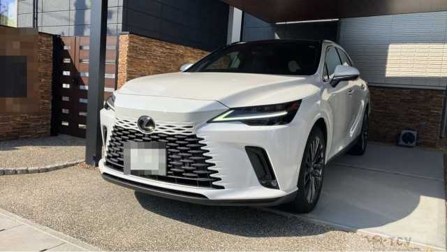 2024 Lexus RX