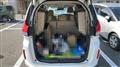2016 Honda Freed