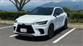 2025 Lexus RX