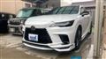 2025 Lexus RX