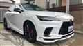 2025 Lexus RX