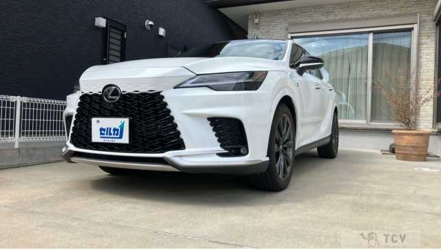 2024 Lexus RX