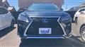 2018 Lexus RX