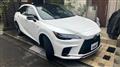 2025 Lexus RX