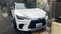 2025 Lexus RX