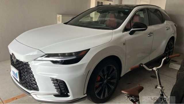 2025 Lexus RX
