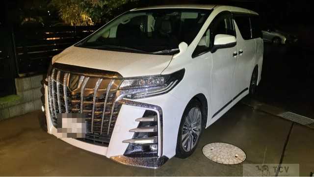 2018 Toyota Alphard G