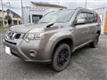 2013 Nissan X-Trail
