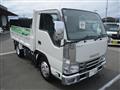 2020 Isuzu Elf Truck