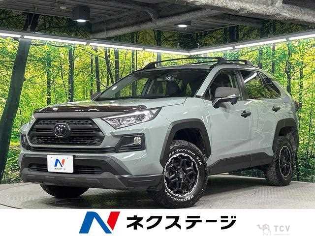 2019 Toyota RAV4