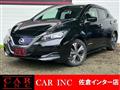 2021 Nissan Leaf